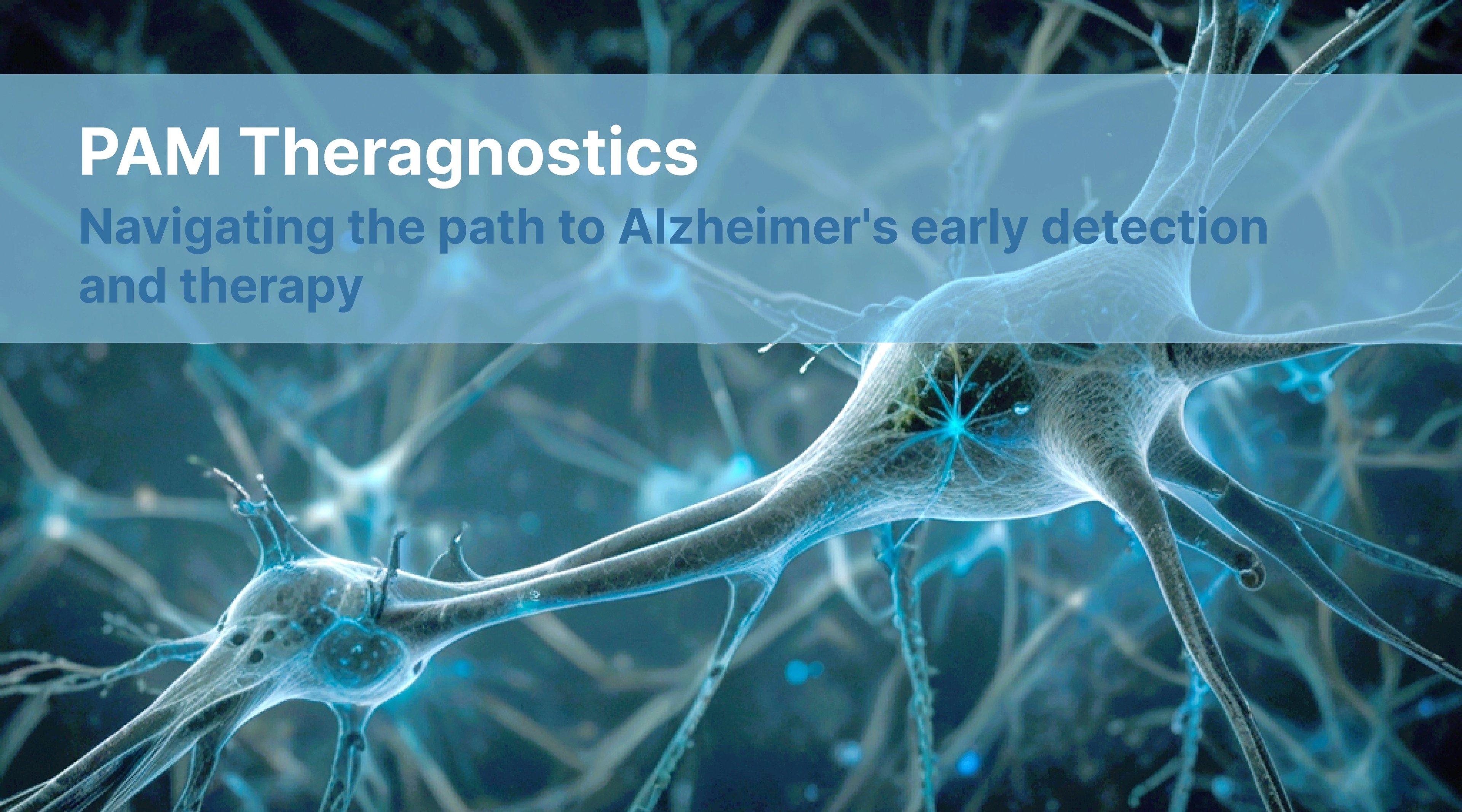 PAM Theragnostics Navigating the path to Alzheimer's early detection and therapy